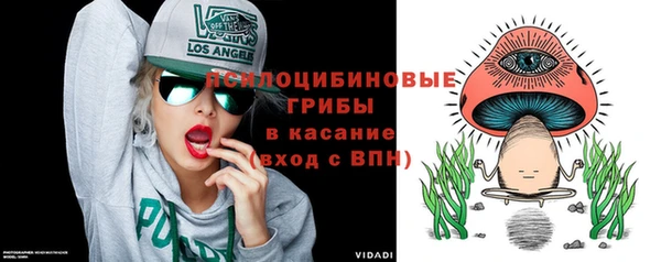 не бодяженный Алексин