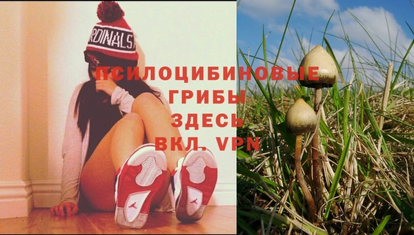 не бодяженный Алексин