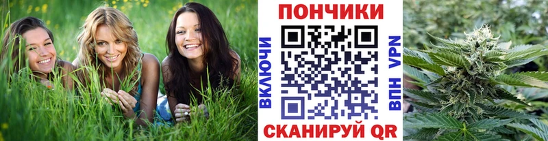 Бошки Шишки ГИДРОПОН  Купить закладки  Тайшет 